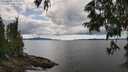 ./images/koeye/fitz-hugh/20250618/fitz-hugh20250618_143010M.jpg