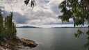 ./images/koeye/fitz-hugh/20250618/fitz-hugh20250618_143509M.jpg