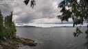 ./images/koeye/fitz-hugh/20250618/fitz-hugh20250618_144010M.jpg