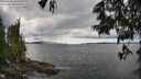 ./images/koeye/fitz-hugh/20250618/fitz-hugh20250618_144511M.jpg