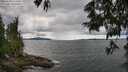 ./images/koeye/fitz-hugh/20250618/fitz-hugh20250618_145011M.jpg