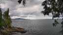 ./images/koeye/fitz-hugh/20250618/fitz-hugh20250618_145510M.jpg