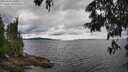 ./images/koeye/fitz-hugh/20250618/fitz-hugh20250618_150012M.jpg