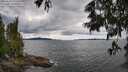 ./images/koeye/fitz-hugh/20250618/fitz-hugh20250618_150509M.jpg