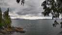 ./images/koeye/fitz-hugh/20250618/fitz-hugh20250618_151511M.jpg