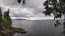 ./images/koeye/fitz-hugh/20250618/fitz-hugh20250618_152510M.jpg
