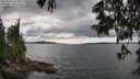 ./images/koeye/fitz-hugh/20250618/fitz-hugh20250618_154009M.jpg