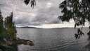 ./images/koeye/fitz-hugh/20250618/fitz-hugh20250618_171011M.jpg