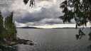 ./images/koeye/fitz-hugh/20250618/fitz-hugh20250618_172012M.jpg