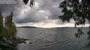 ./images/koeye/fitz-hugh/20250618/fitz-hugh20250618_173510M.jpg