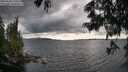 ./images/koeye/fitz-hugh/20250618/fitz-hugh20250618_174010M.jpg