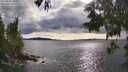 ./images/koeye/fitz-hugh/20250618/fitz-hugh20250618_180012M.jpg