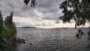 ./images/koeye/fitz-hugh/20250618/fitz-hugh20250618_182510M.jpg