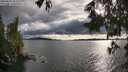 ./images/koeye/fitz-hugh/20250618/fitz-hugh20250618_185509M.jpg