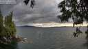 ./images/koeye/fitz-hugh/20250618/fitz-hugh20250618_192508M.jpg