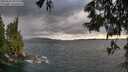 ./images/koeye/fitz-hugh/20250618/fitz-hugh20250618_193009M.jpg