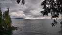 ./images/koeye/fitz-hugh/20250618/fitz-hugh20250618_195010M.jpg