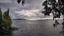 ./images/koeye/fitz-hugh/20250618/fitz-hugh20250618_195509M.jpg