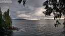 ./images/koeye/fitz-hugh/20250618/fitz-hugh20250618_200010M.jpg