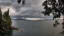 ./images/koeye/fitz-hugh/20250618/fitz-hugh20250618_202508M.jpg