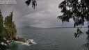 ./images/koeye/fitz-hugh/20250618/fitz-hugh20250618_204007M.jpg