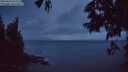 ./images/koeye/fitz-hugh/20250618/fitz-hugh20250618_223009M.jpg
