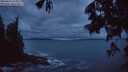./images/koeye/fitz-hugh/20250619/fitz-hugh20250619_043510M.jpg