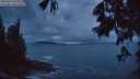 ./images/koeye/fitz-hugh/20250619/fitz-hugh20250619_044010M.jpg