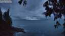 ./images/koeye/fitz-hugh/20250619/fitz-hugh20250619_044509M.jpg