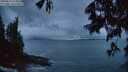 ./images/koeye/fitz-hugh/20250619/fitz-hugh20250619_045006M.jpg