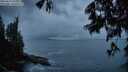 ./images/koeye/fitz-hugh/20250619/fitz-hugh20250619_045508M.jpg