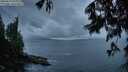 ./images/koeye/fitz-hugh/20250619/fitz-hugh20250619_050009M.jpg