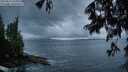 ./images/koeye/fitz-hugh/20250619/fitz-hugh20250619_050508M.jpg
