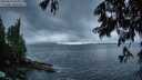 ./images/koeye/fitz-hugh/20250619/fitz-hugh20250619_051010M.jpg