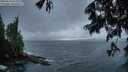 ./images/koeye/fitz-hugh/20250619/fitz-hugh20250619_051508M.jpg