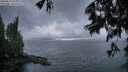 ./images/koeye/fitz-hugh/20250619/fitz-hugh20250619_052508M.jpg