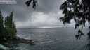 ./images/koeye/fitz-hugh/20250619/fitz-hugh20250619_053009M.jpg