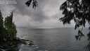 ./images/koeye/fitz-hugh/20250619/fitz-hugh20250619_055508M.jpg