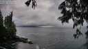 ./images/koeye/fitz-hugh/20250619/fitz-hugh20250619_060011M.jpg