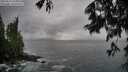 ./images/koeye/fitz-hugh/20250619/fitz-hugh20250619_064508M.jpg