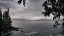 ./images/koeye/fitz-hugh/20250619/fitz-hugh20250619_065510M.jpg