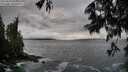 ./images/koeye/fitz-hugh/20250619/fitz-hugh20250619_070011M.jpg