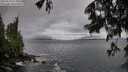 ./images/koeye/fitz-hugh/20250619/fitz-hugh20250619_071011M.jpg