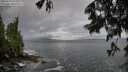 ./images/koeye/fitz-hugh/20250619/fitz-hugh20250619_071510M.jpg