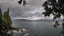 ./images/koeye/fitz-hugh/20250619/fitz-hugh20250619_073010M.jpg