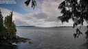 ./images/koeye/fitz-hugh/20250619/fitz-hugh20250619_080510M.jpg