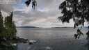 ./images/koeye/fitz-hugh/20250619/fitz-hugh20250619_082009M.jpg