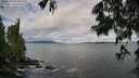 ./images/koeye/fitz-hugh/20250619/fitz-hugh20250619_083012M.jpg