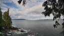 ./images/koeye/fitz-hugh/20250619/fitz-hugh20250619_083508M.jpg