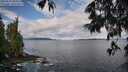 ./images/koeye/fitz-hugh/20250619/fitz-hugh20250619_084510M.jpg